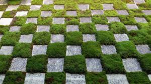 AccountAbility recognised as award-winning leader in ESG AccountAbility recognised as award-winning leader in ESG