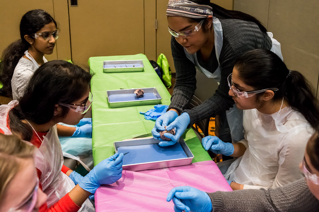 Exploring STEM Careers: A Unique Summer Program for High School Students