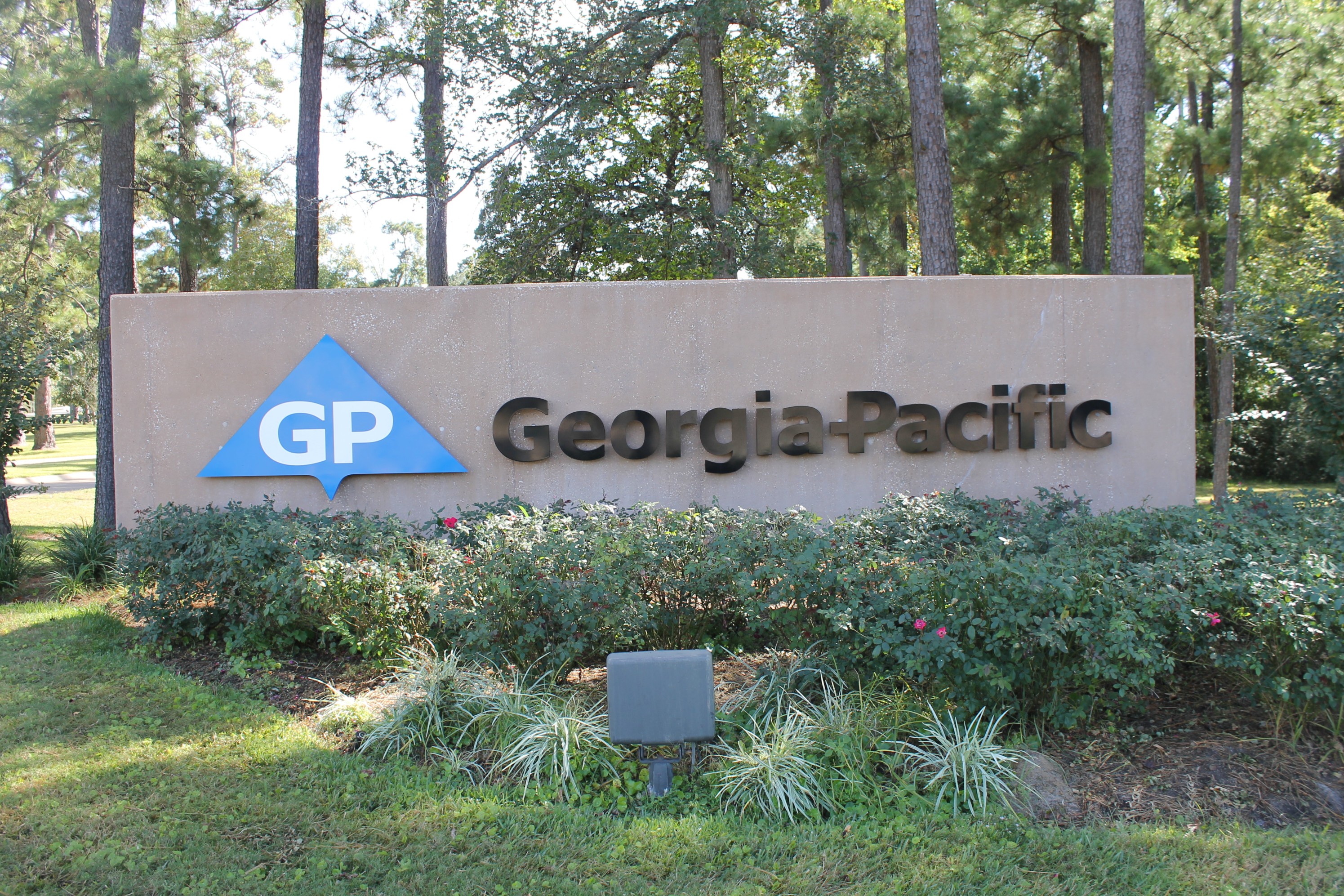 Empowering Individuals for Success: Georgia-Pacific's Unique Approach and Diverse Product Line