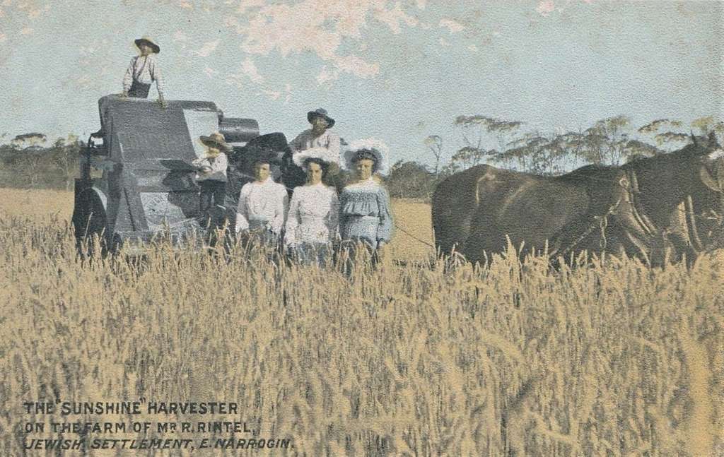 Sustainable Farming & Job Creation: Betterment Harvest, a Land Betterment Company Sustainable Farming & Job Creation: Betterment Harvest, a Land Betterment Company