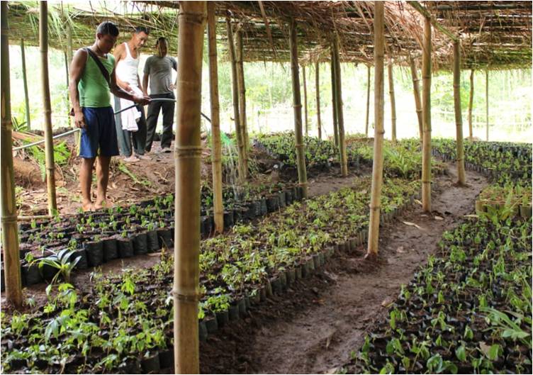Green Initiative for Land Reclamation and Community Engagement: Covia’s Forest Nursery in Mexico