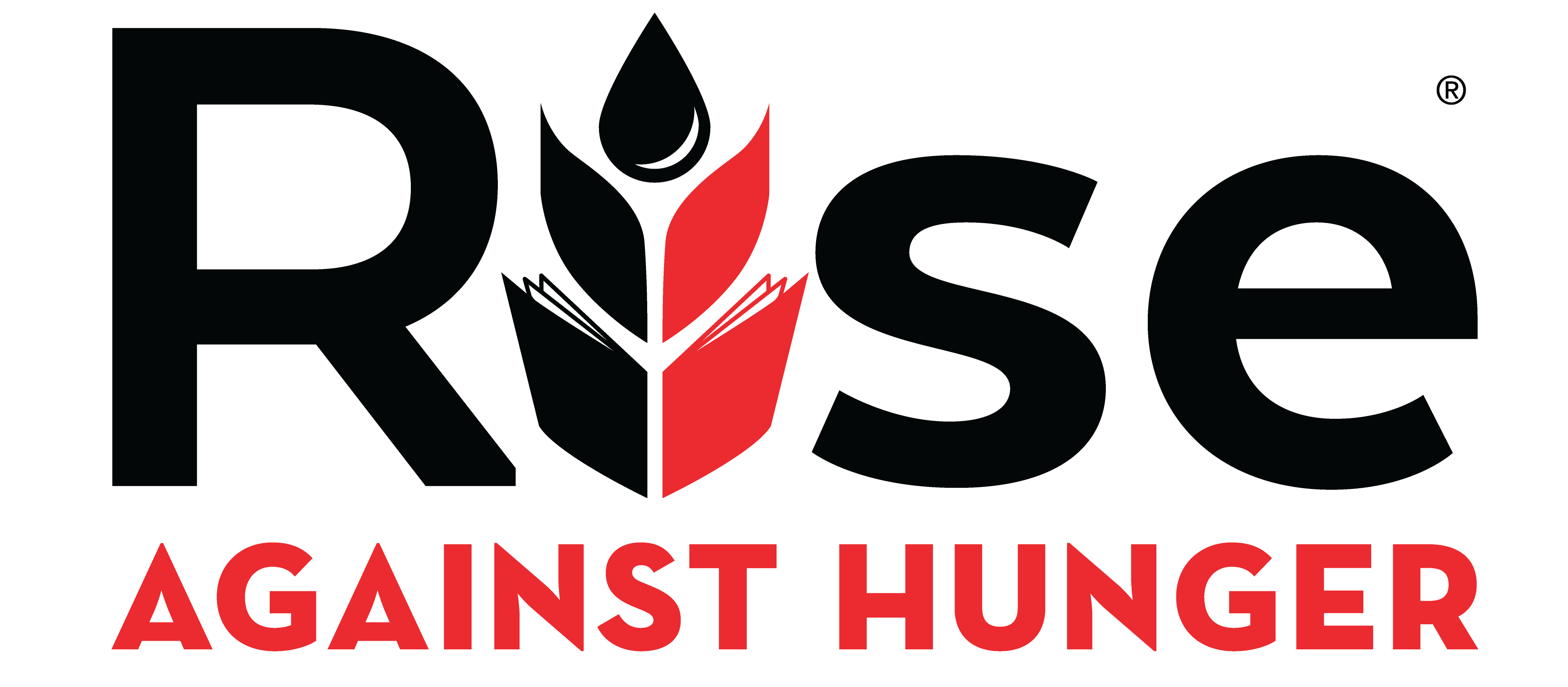 Rise Against Hunger: 25th Anniversary Chicago Community Packing Event