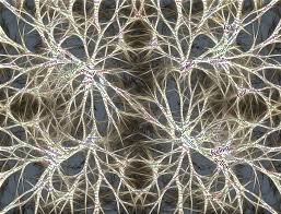 Alkermes Pathways Research Awards 2023: Funding Neuroscience Innovations