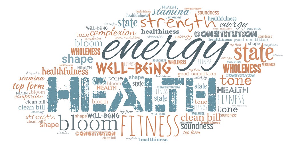 Maximizing Employee Health and Energy Efficiency: An Economic Analysis of WELL Certification Maximizing Employee Health and Energy Efficiency: An Economic Analysis of WELL Certification