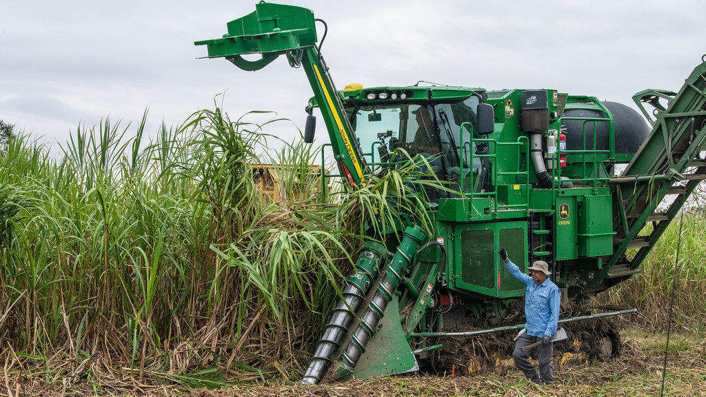 Bonsucro’s Climate Initiatives: Reducing Sugarcane Industry’s CO2 Emissions