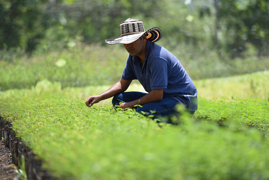 Field to Market’s Proposed Biodiversity Metric Revision: Introducing the WILD Index