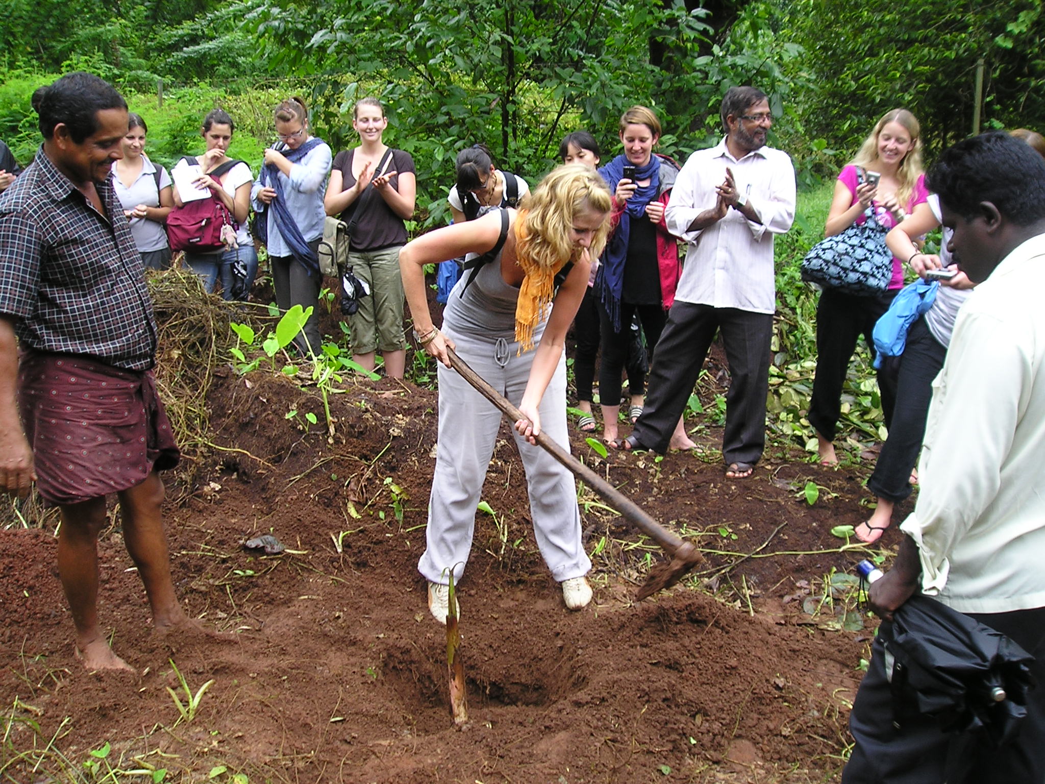 Revitalizing Habitats: Huber and Arbor Day Foundation’s Global Reforestation Effort