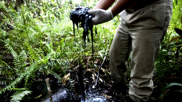 Chevron In Ecuador – The Appeal