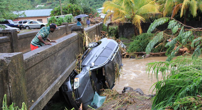 The cascading effects of tree logging in the Caribbean