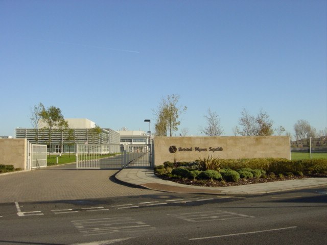 Advancing Healthcare: BMS's Commitment to Diversity, Innovation, and Sustainability Advancing Healthcare: BMS's Commitment to Diversity, Innovation, and Sustainability