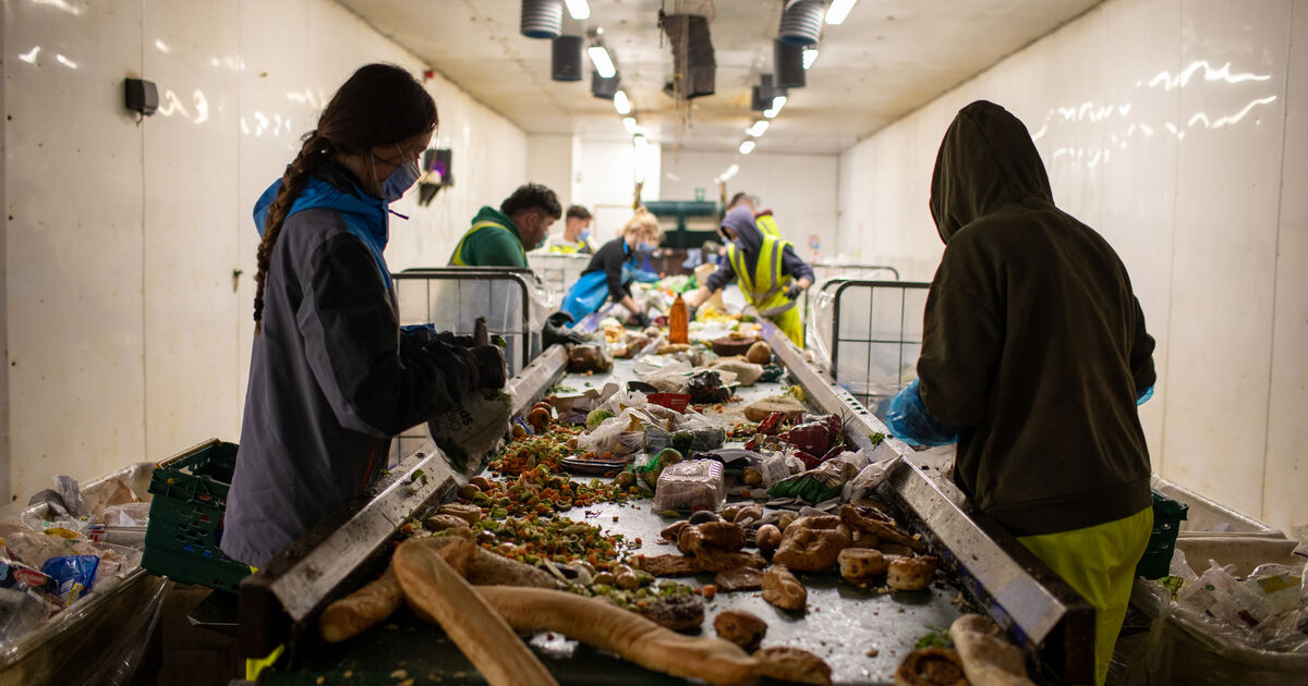 New England Natural Bakers' Sustainable Partnership: Transforming Food Waste into Renewable Energy New England Natural Bakers' Sustainable Partnership: Transforming Food Waste into Renewable Energy