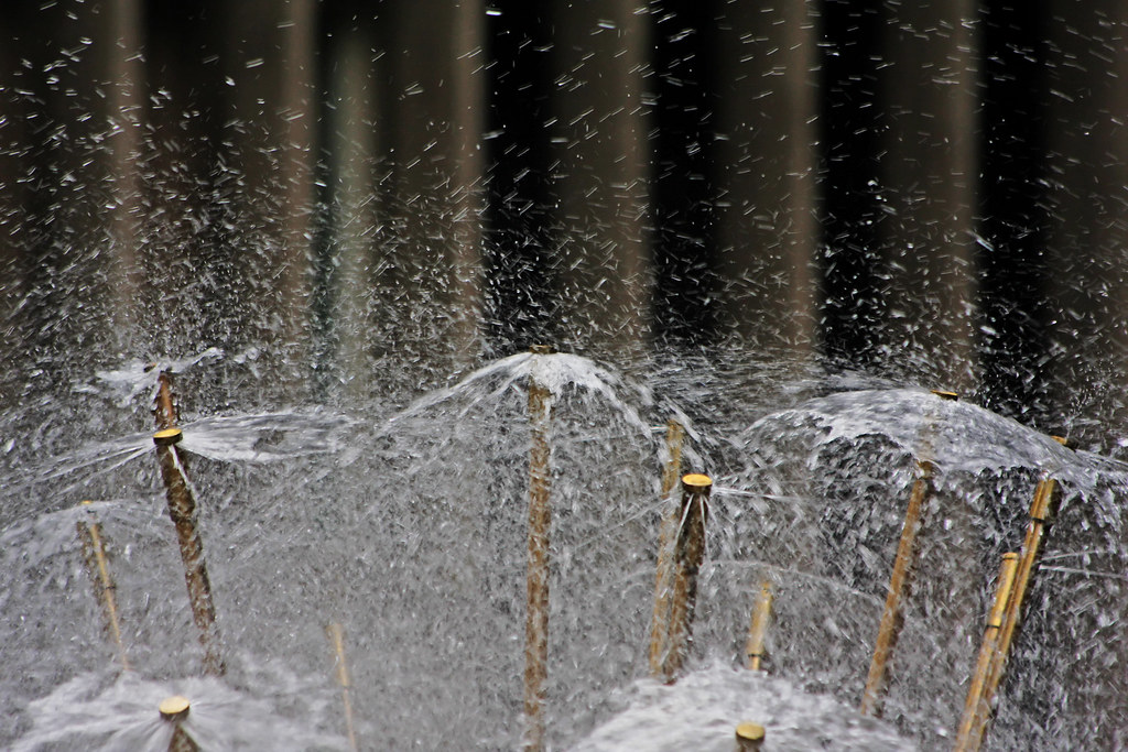 Discover Inspiring Women of AB: Synergy's SheInspires Campaign Discover Inspiring Women of AB: Synergy's SheInspires Campaign