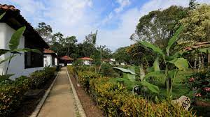 Maravilla Gardens: Navigating Family Business Dynamics, U.S. Bank Partnership, and Covid-19 Impact Maravilla Gardens: Navigating Family Business Dynamics, U.S. Bank Partnership, and Covid-19 Impact