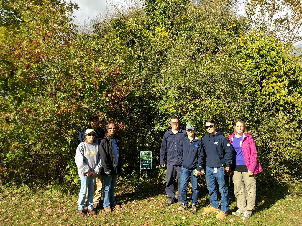 Over 50 Volunteers Support Dragon Boat Festival: Atlantic City Electric's Community Commitment Over 50 Volunteers Support Dragon Boat Festival: Atlantic City Electric's Community Commitment