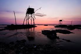 Revolutionizing Fisheries: AI-Powered FishFace System Enhances Conservation in Indonesia Revolutionizing Fisheries: AI-Powered FishFace System Enhances Conservation in Indonesia