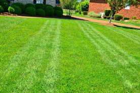 Eco-Friendly Lawn Care Tips: Enhance Your Outdoor Space with Scotts Eco-Friendly Lawn Care Tips: Enhance Your Outdoor Space with Scotts