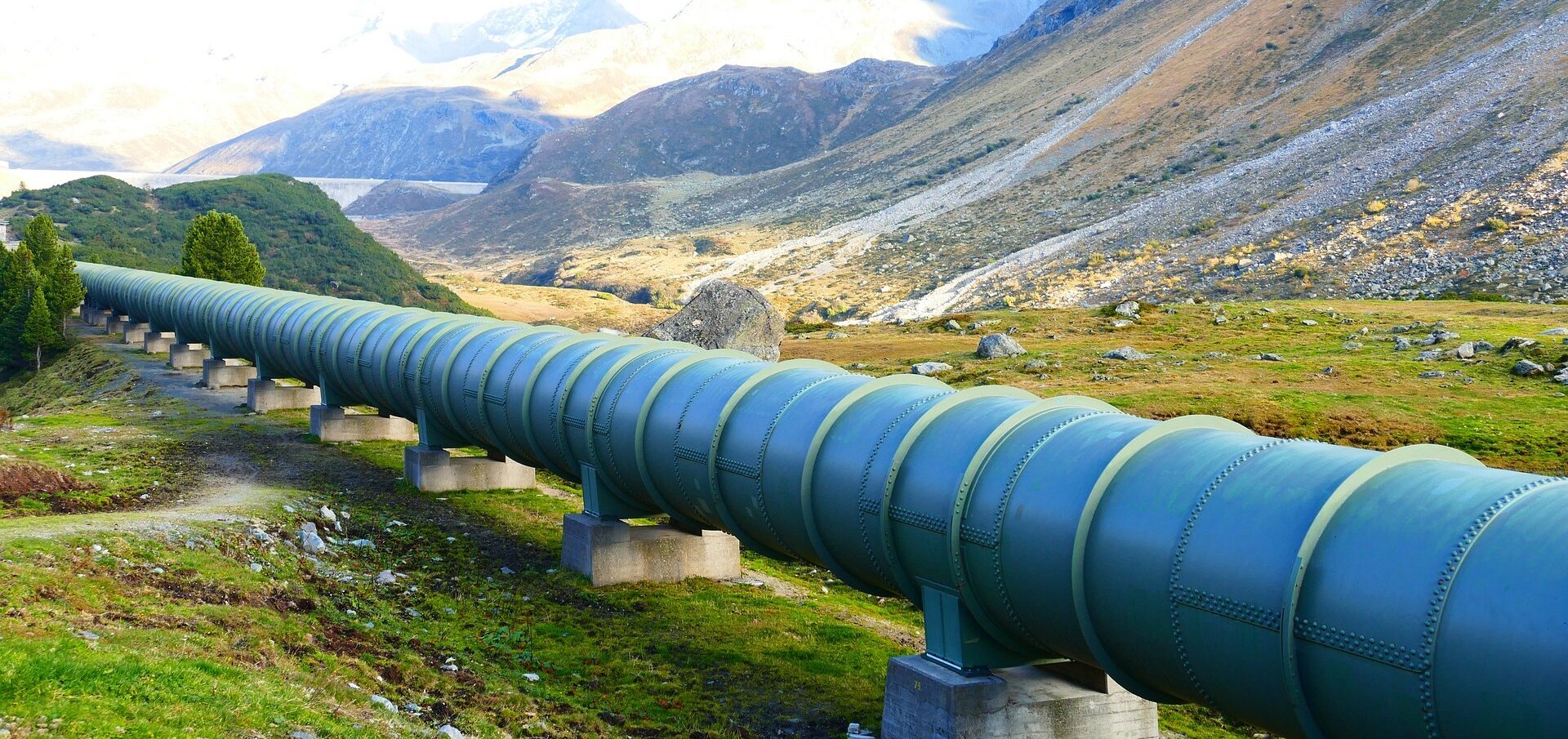 Mastering Decarbonization: Strategies for Emissions Management and Supplier Collaboration – Join Our August 22 Webinar Mastering Decarbonization: Strategies for Emissions Management and Supplier Collaboration – Join Our August 22 Webinar