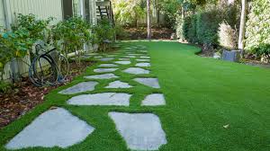 Low-Maintenance Grass Alternatives: Creeping Thyme, Carex, Sedum & More Low-Maintenance Grass Alternatives: Creeping Thyme, Carex, Sedum & More