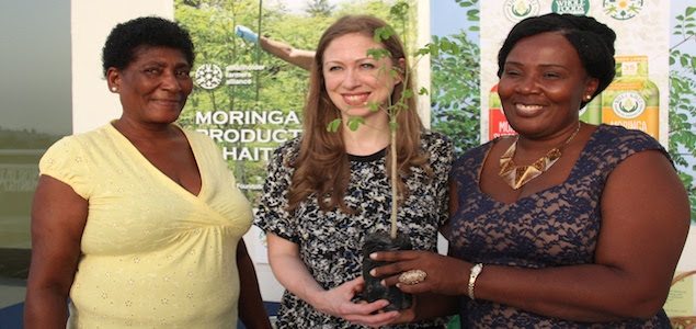 Moringa Farmers In Haiti Receives Help From Kuli Kuli And Partners To Become Self-Sufficient