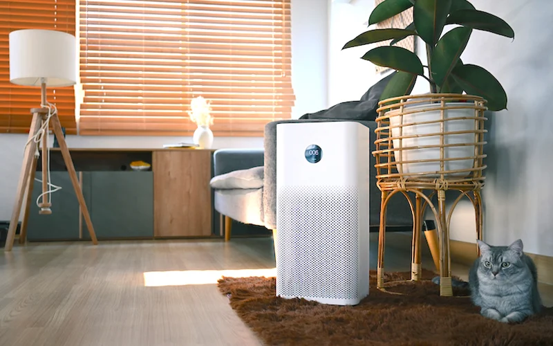 How Healthy Indoor Air Boosts Productivity, Cuts Costs & Drives Business Success