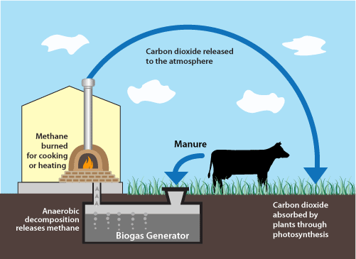 Dairy Digesters Will Be Wise Investment For California, Reveal New Study