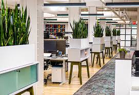 WELL Building Awards 2024: Global Leaders in Healthy and Sustainable Spaces