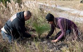 Arbor Day Carbon Wins ACR 2025 Commitment to Quality Award for Carbon Market Leadership