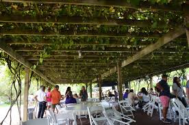 Trellis Impact 25: Uniting Sustainability Leaders for Climate, Nature & Finance Solutions