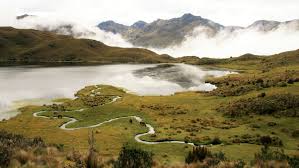 Reviving the Andes: Acción Andina’s Mission to Restore Ecosystems and Secure Water