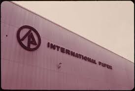 International Paper’s First TNFD Report: Advancing Sustainability & Transparency