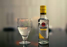 Bacardi Hosts Hurricane Preparedness Training with Red Cross in South Florida
