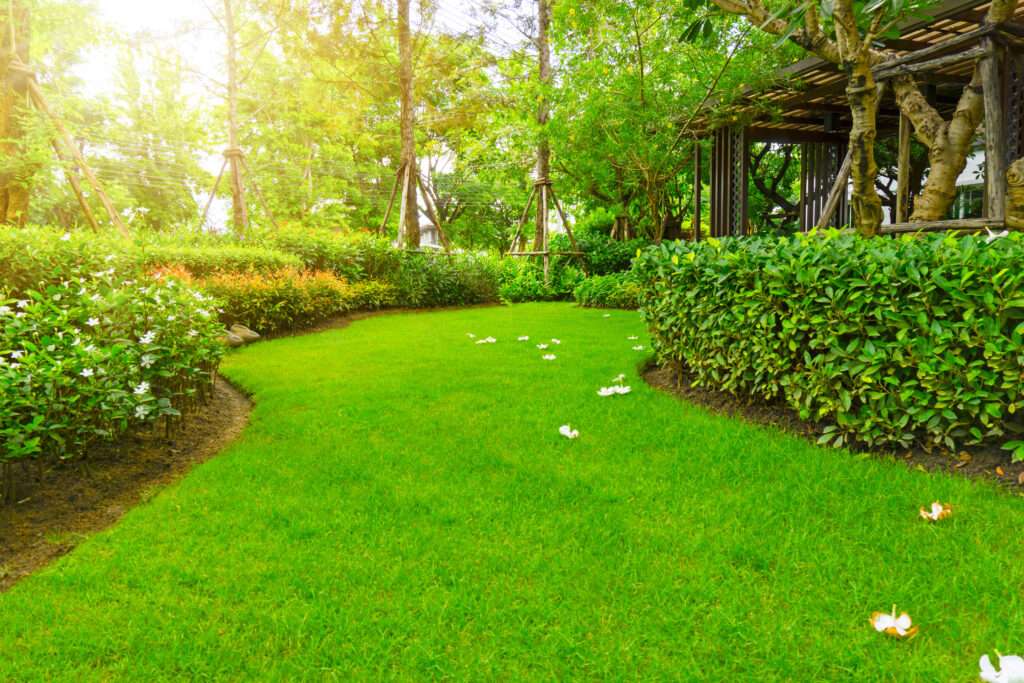 How Healthy Lawns Help Fight Climate Change