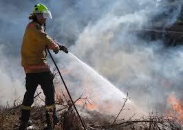 LA Galaxy Named MLS 2025 Community Impact Club of the Year