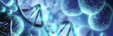 Belief BioMed & Grand Life Sciences Partner to Advance Hemophilia A Gene Therapy in China