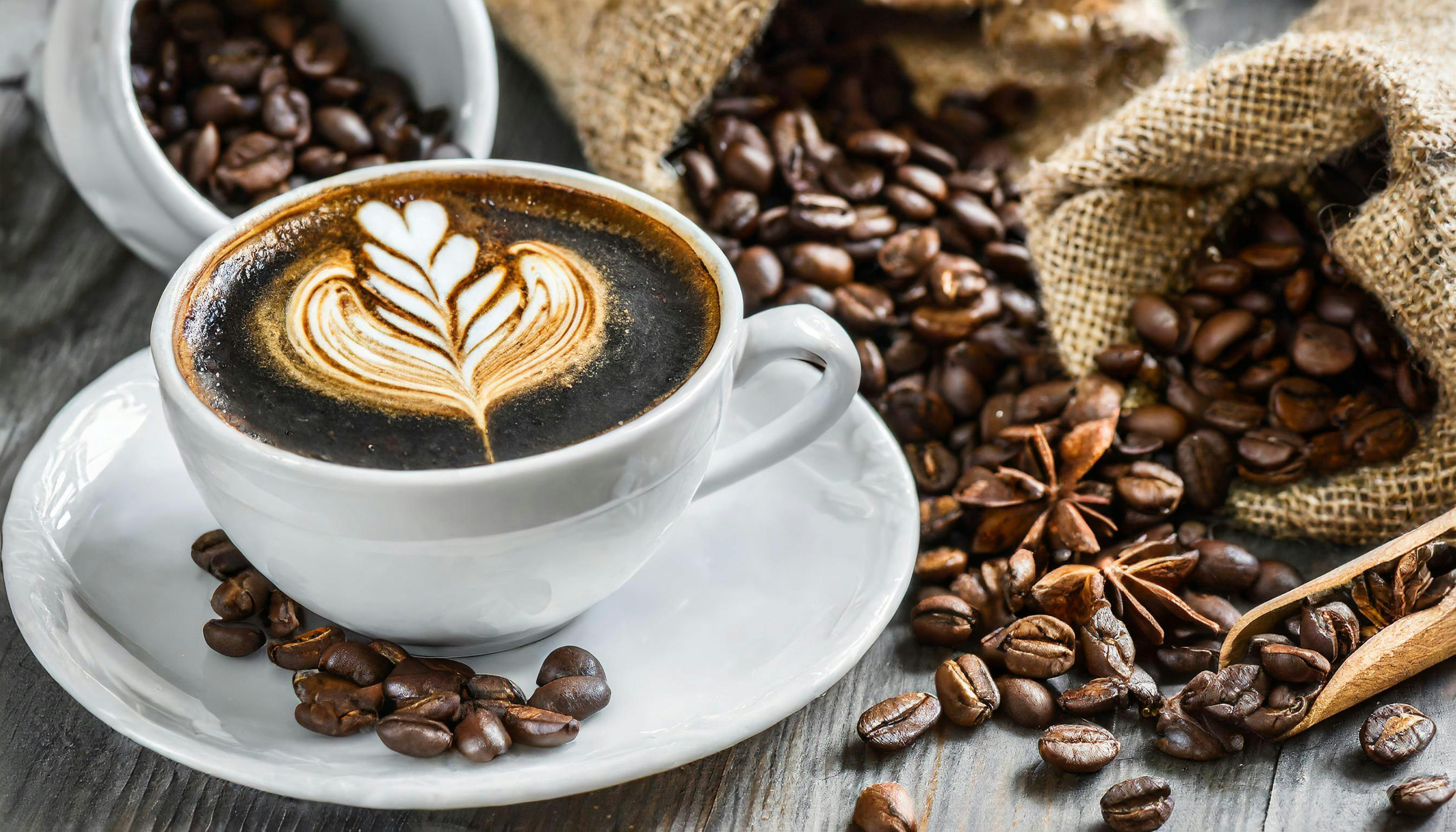 Organic Dairy Coffee Creamers Drive Growth in U.S. Retail Market