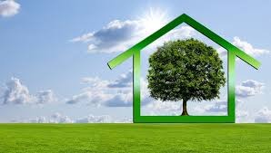 CDP Splits into Commercial and Foundation Entities to Advance Environmental Disclosure