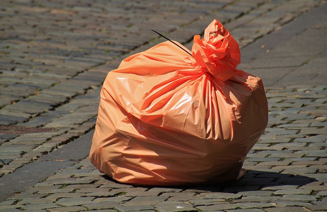 Carver & Volunteers Clean Up The Environment