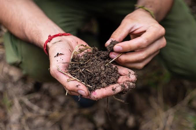 Cisco’s Climate Resilience and Sustainability Strategy