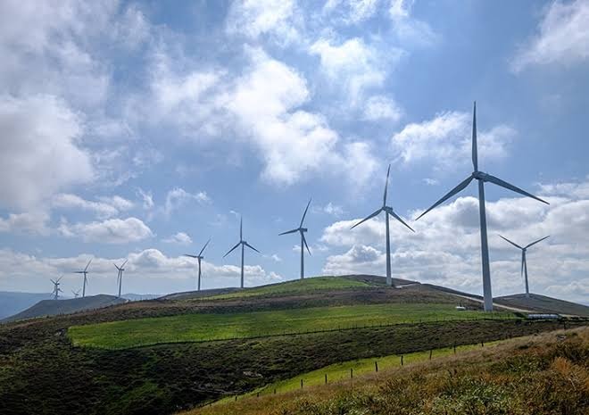 Ray C. Anderson Foundation: Sustainability & Climate Initiatives