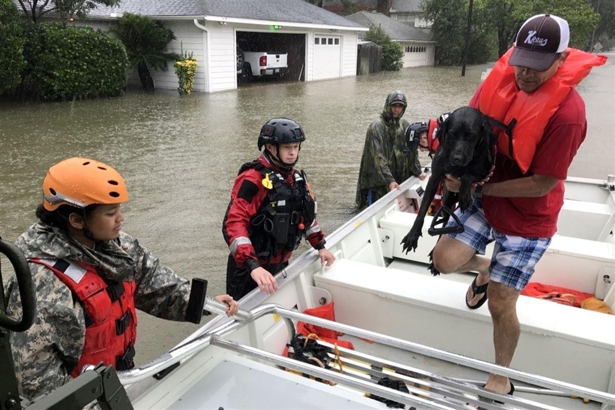 FedEx Delivers Pet Relief After Super Typhoon Sinlaku