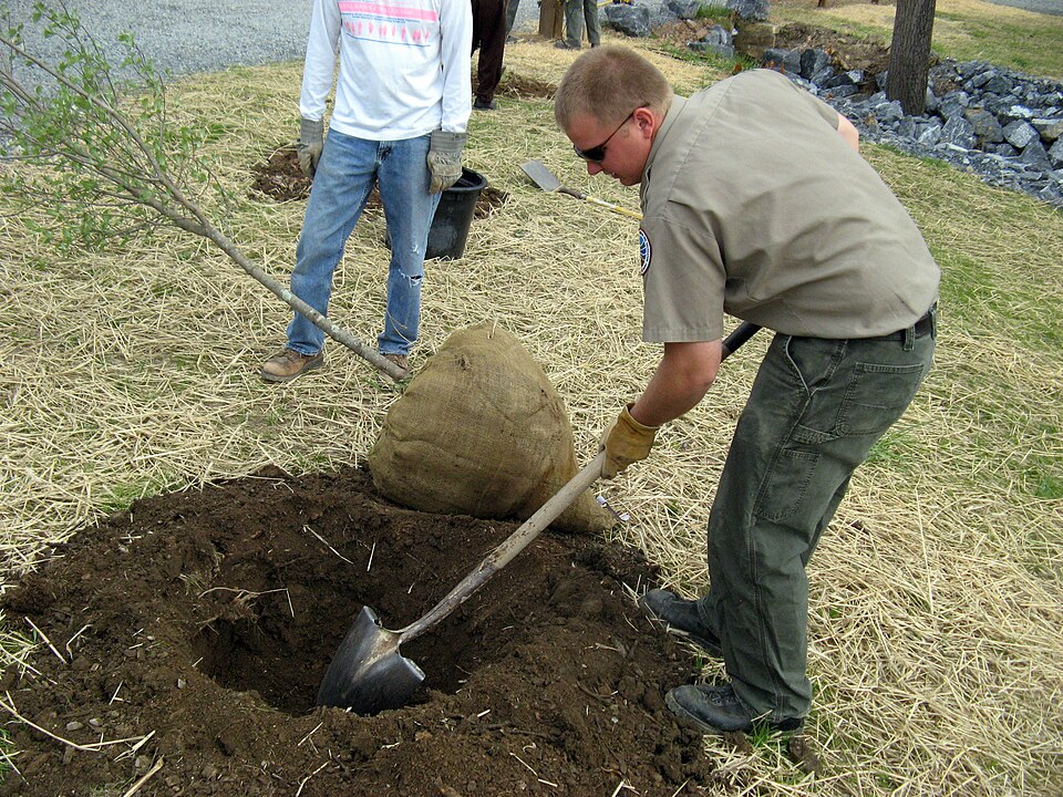 MetLife Foundation: Global Giving, Sustainability & Community Impact