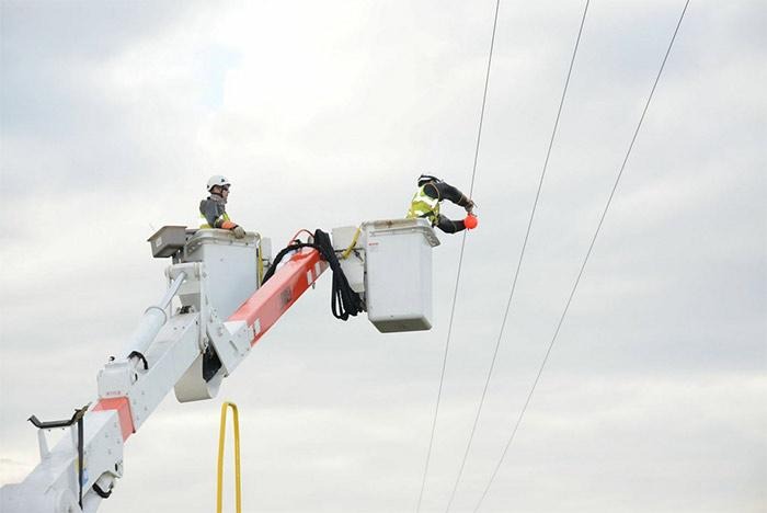 Entergy Uses Bird Diverters to Protect Louisiana’s Whooping Cranes