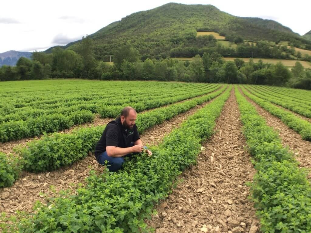 TEROVA Advances Sustainable and Transparent Spice Sourcing