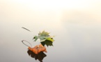 Antea Group Shows The Way In Managing Acquisition Related Environmental Liabilities
