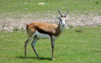 Kansas State Parks Offer ‘Free Admission’ To Celebrate ‘Healthy Trails Adventure Day’