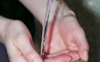 Deb’s New Website Strengthens The Fight Against ‘Occupational Skin Disorders’