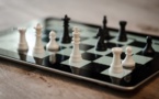 Complimentary Brief Synthesises Business Strategies &amp; Sustainable Development Goals