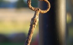 New Briefing Outlines ‘Key Strategies’ For Building Trust