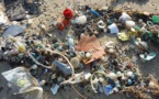Sky TV Reaches Out To A Larger Audience Highlighting The Issue Of Marine Plastic Pollutant