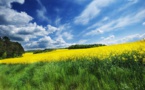 As the renewable energy sector is blooming, ‘implementors’ are coming to the picture
